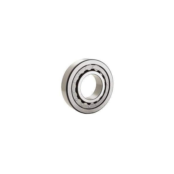 Cylindrical Roller Bearing